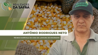 Antônio Rodrigues Neto - Técnico Agrícola da Casa da Lavoura de Dourados