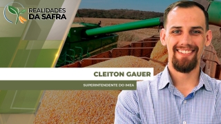 Cleiton Gauer - Superintendente do Imea