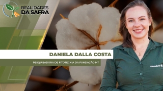 Daniela Dalla Costa - Pesquisadora de Fitotecnia da Fundação MT