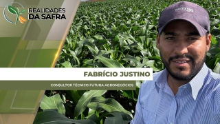 Fabrício Justino - Consultor técnico Futura Agronegócios