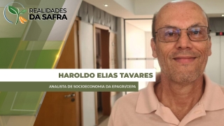 Haroldo Elias Tavares - Analista de Socioeconomia da Epagri/Cepa