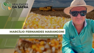 Marcílio Fernandes Marangoni - Engenheiro Agrônomo de Darcinópolis - TO