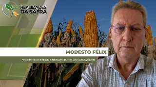 Modesto Félix - Vice-Presidente do Sindicato Rural de Cascavel/PR