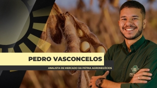 Pedro Vasconcelos - Analista de Mercado da Pátria Agronegócios