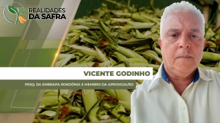 Vicente Godinho - Pesq. da Embrapa Rondônia e Membro da Aprosoja/RO
