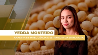 Yedda Monteiro - Analista de Inteligência e Estratégia da Biond Agro