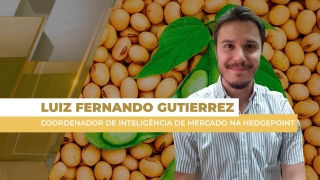 Luiz Fernando Gutierrez - Coordenador de Inteligência de Mercado na Hedgepoint