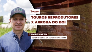 Tamires Neto - Gerente-Geral da agropecuária CFM