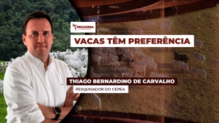 Thiago Bernardino de Carvalho - Pesquisador do Cepea