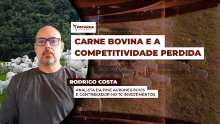 Rodrigo Costa - Analista da PINE Agronegócios e Contribuidor no TC Investimentos