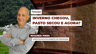 Wagner Pires - Especialista em Manejo de Pastagem