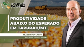 Silvésio de Oliveira - Produtor Rural da região de Tapurah/MT