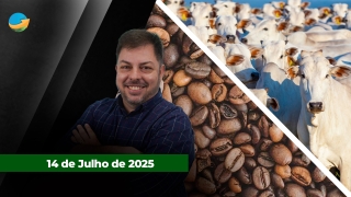 Fechamento de Mercado - Programa Completo