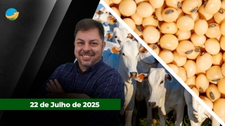 Fechamento de Mercado - Programa Completo