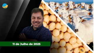 Fechamento de Mercado - Programa Completo