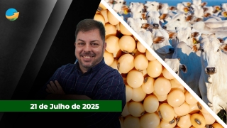 Fechamento de Mercado - Programa Completo
