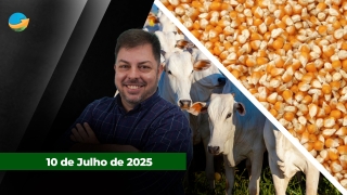 Fechamento de Mercado - Programa Completo