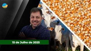 Fechamento de Mercado - Programa Completo