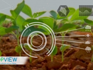 CropView Plantio de soja 16:9