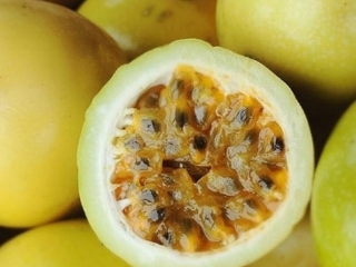 maracuja