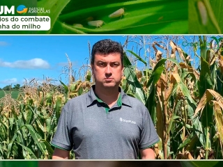 Luiz Gustavo Floss - Engenheiro agrônomo