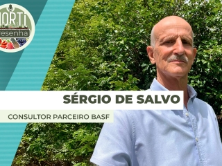 #133 - SITE - Sergio de Salvo - Thumb