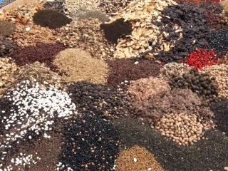Muvuca - Técnica de Restauração Florestal