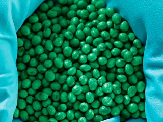 Teste de Sementes de Soja BASF