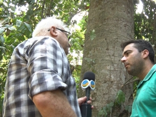 Matéria Tarcísio Burim Jr. - Produtor Rural - Dom Eliseu/PA