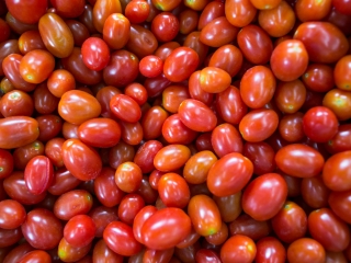 foto cna tomate tomate cereja