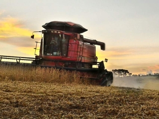Imagens do dia - Colheita da soja safra 2015/16 na Fazenda Pinheiro Seco, em Campos Novos (SC). Envio de Jean Paulo Almeida