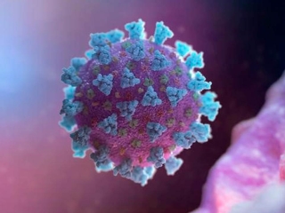 Coronavirus 16:9