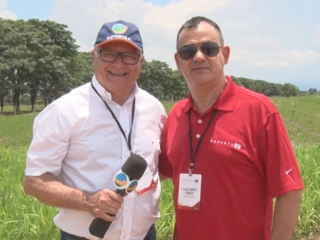 Luis Nery Ribas - Engenheiro Agrônomo - MT
