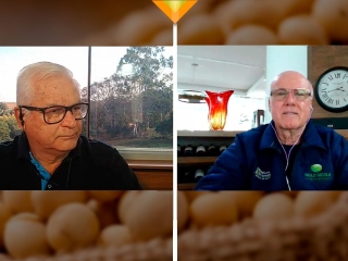 João Batista e Paulo Nicola