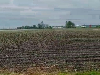 "CropTour" Ginaldo 17/06