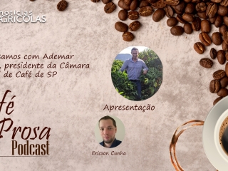 cafe prosa 15