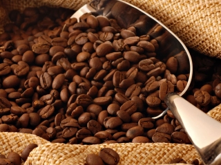 cafe arabica - saca - graos torrados 16:9