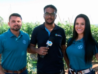 Vanderson Mizael e Thaísa Wendhausen