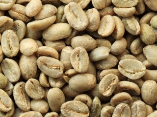 Grão de café