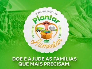 plantar para alimentar