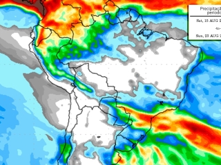 Precipitação 10 dias 07/08/2020