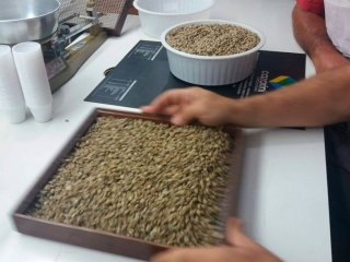 Café Especial - Foto enviada por Fernando Barbosa - 16:9