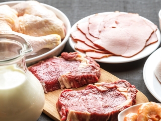 proteina animal - 16:9