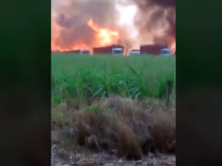 Incêndios nas áreas produtoras em Goiás