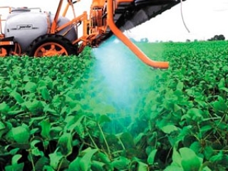 Agroquimicos destaque video