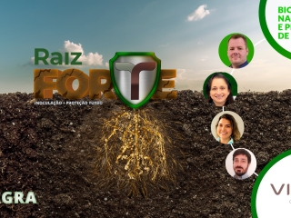 Raiz Forte Vittia - Integra