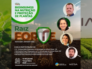 raiz forte