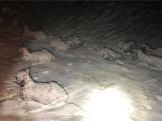 Neve na Pensilvânia