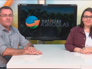 Wagner Coladel e Carol
