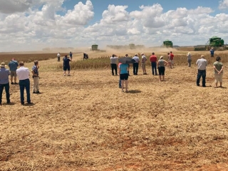 Produtores Americanos visitando propriedades agrícolas em Sapezal - oeste do MT - 16:9